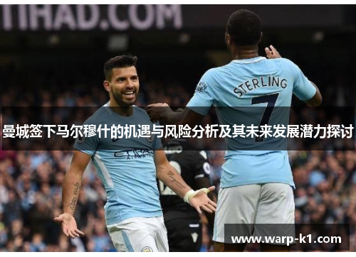 曼城签下马尔穆什的机遇与风险分析及其未来发展潜力探讨 曼城签下马尔穆什的机遇与风险分析及其未来发展潜力探讨