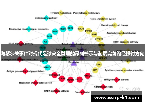 海瑟尔关事件对现代足球安全管理的深刻警示与制度完善路径探讨方向 海瑟尔关事件对现代足球安全管理的深刻警示与制度完善路径探讨方向
