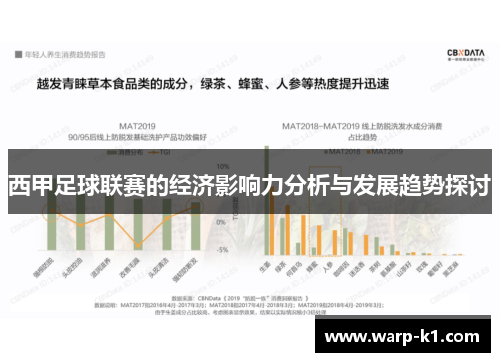 西甲足球联赛的经济影响力分析与发展趋势探讨