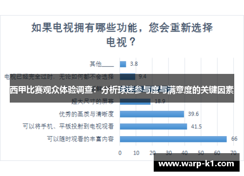 西甲比赛观众体验调查：分析球迷参与度与满意度的关键因素