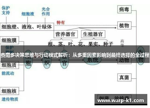 费南多决策思维与行动模式解析：从多重因素影响到最终选择的全过程