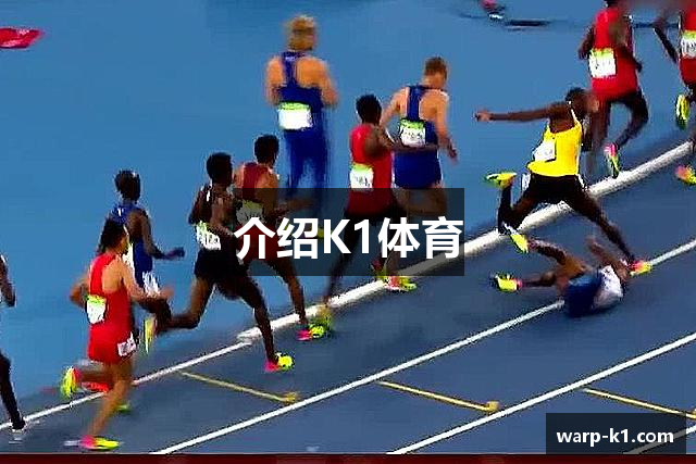 介绍K1体育